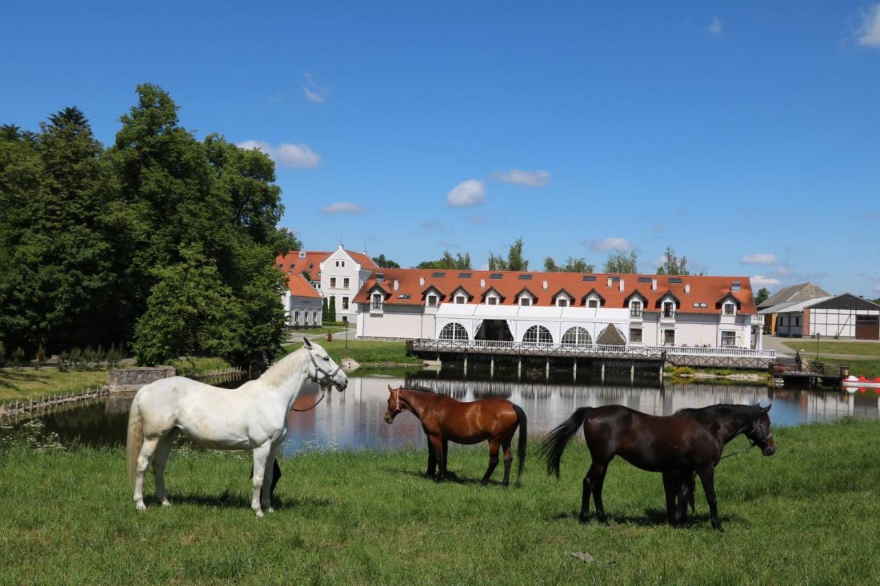Palac Mortegi Hotel & Spa- Restauracja Szlachecka, Spa, Basen, Sauny, Jazda Konna, Mini Zoo- Luksus, Relaks I Przyroda W Jednym! Lubawa Экстерьер фото